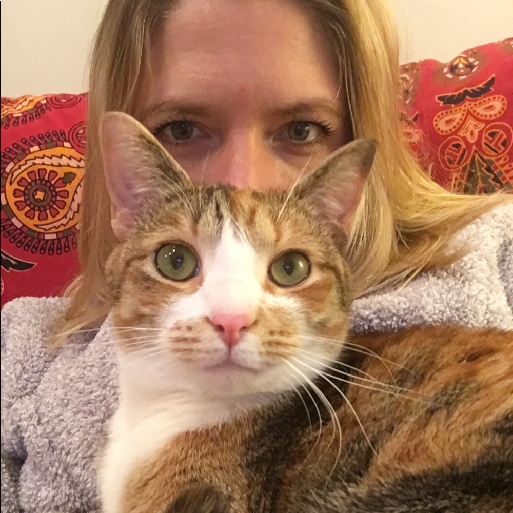 Meet your Posher, Alice